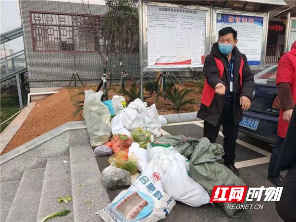 澧县红网最新消息全攻略，从初学者到进阶用户的获取指南