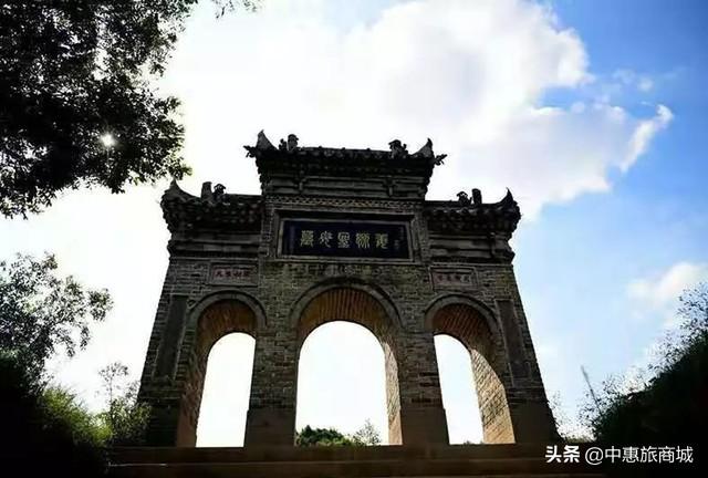 最新手机概览，科技之巅，生活之翼