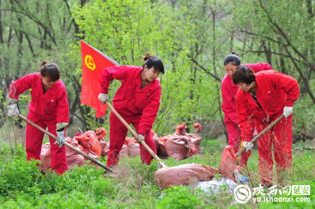科技引领未来，洞悉原油动态，最新原油走势分析
