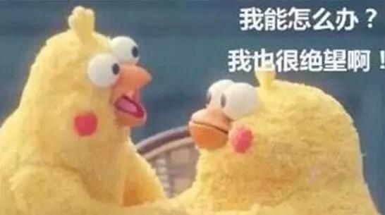 成都今日最新消息汇总