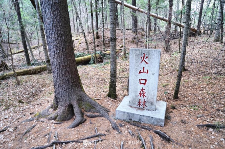 牡丹江重磅推出，流放宁古塔科技项目——体验智慧生活，感受科技魅力新纪元
