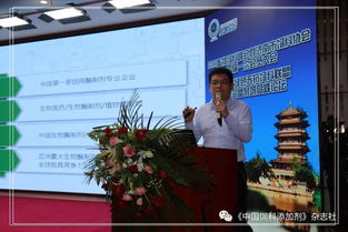 遭学生联合举报后重新崛起的教授，励志之旅见证自信与成就感的蜕变之路