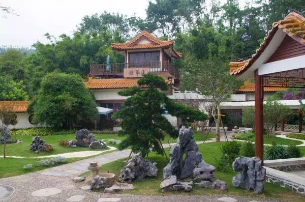 跟着团长打县城旅游热潮引发景区限流，应对与畅游指南