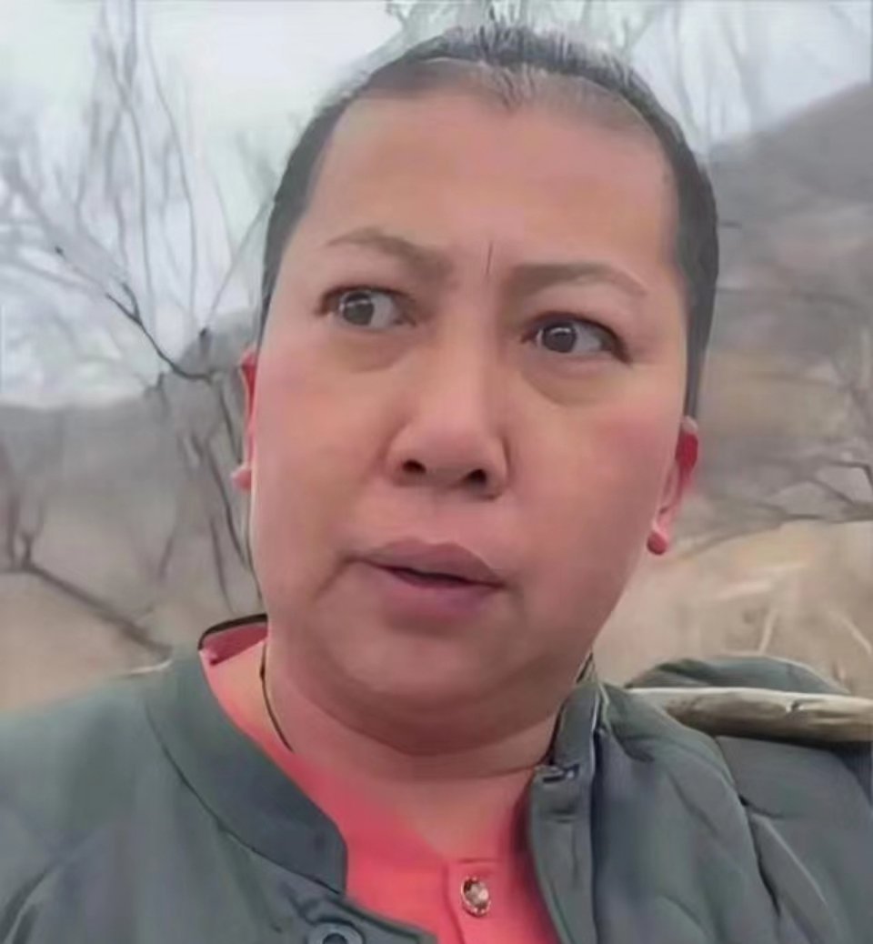 东北雨姐诚恳道歉，愿承担法律责任，展现日常温情时刻