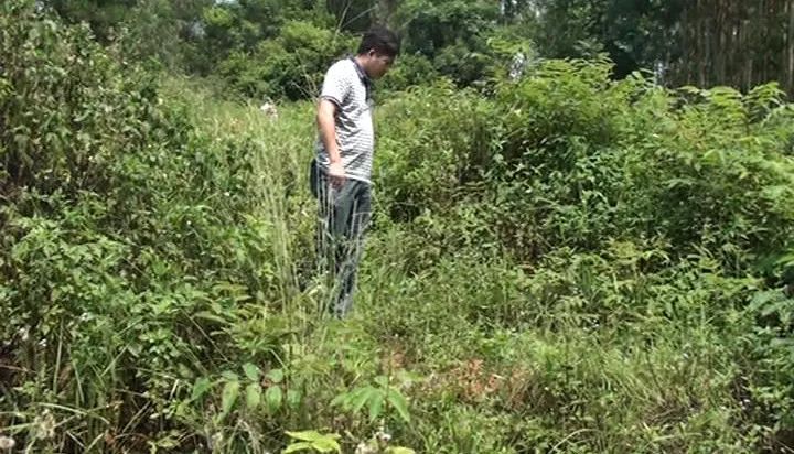 临盆孕妇被遗弃荒山？谣言揭秘，探索真实背后的惊喜故事