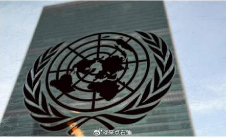 专家观点，联合国机构成发展绊脚石？