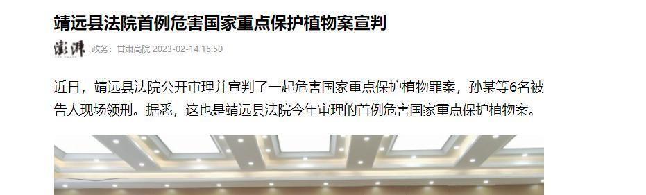 男子网售野生发菜获刑背后的智能监管系统体验报告，科技力量揭示真相