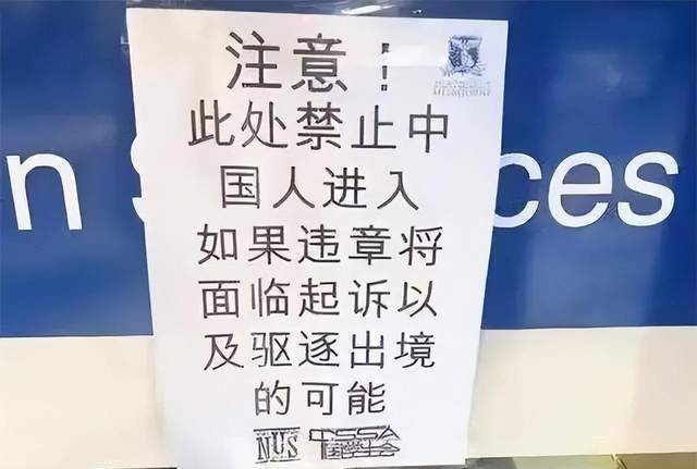 中国游客高喊英文口号引爆热议，小巷深处的隐藏瑰宝亮相时刻