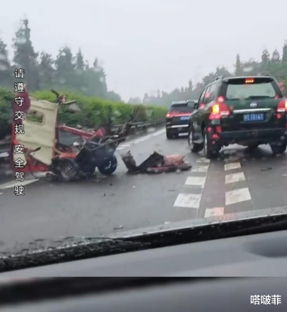 四川高速交警回应老头乐逆行引发车祸事件