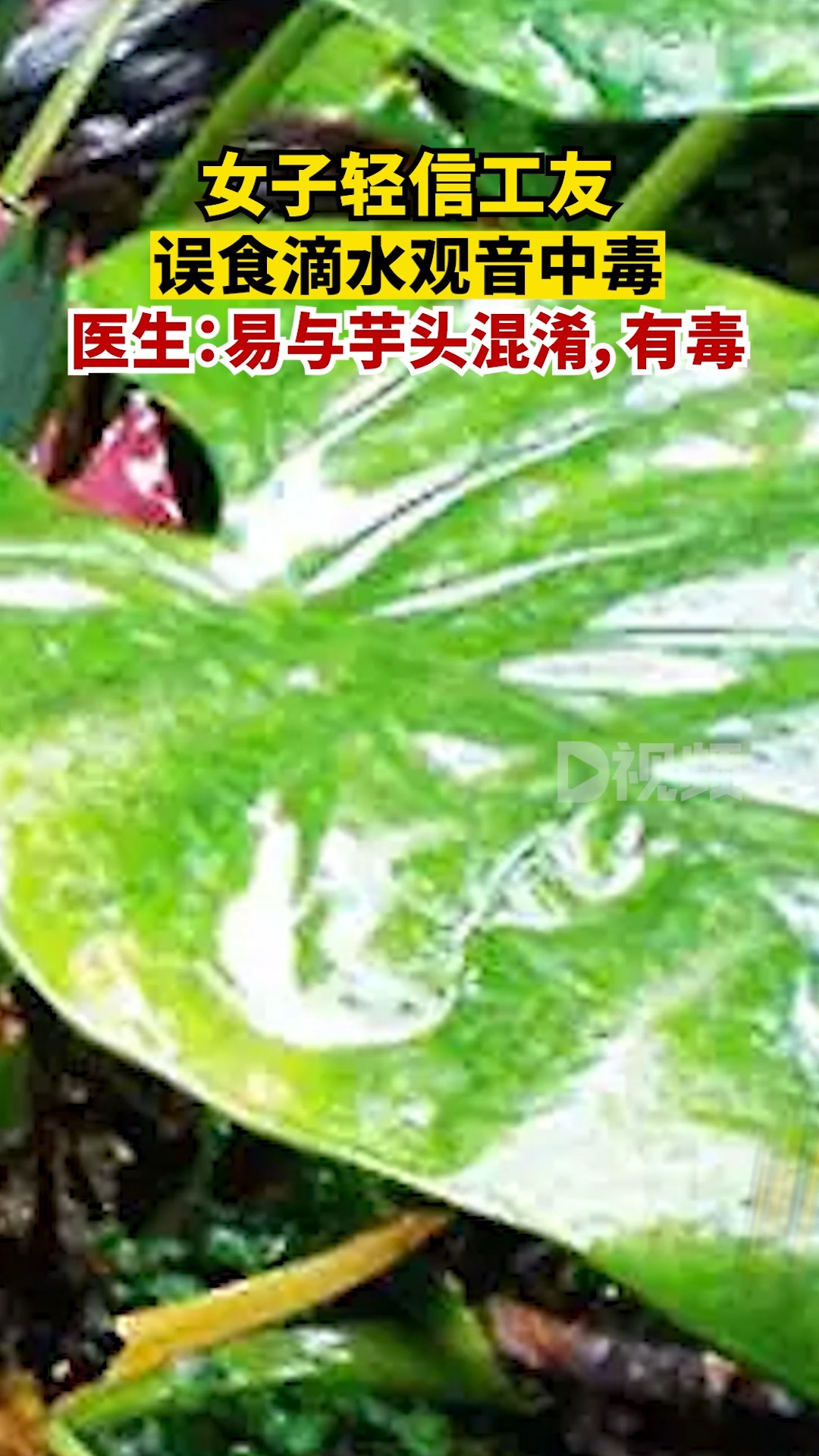 宠物食品挤出机 第1042页