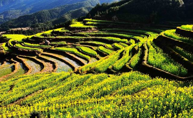 滦平最新新闻，自然之旅，探寻内心的平和与宁静