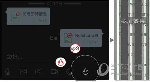 管家婆一码一肖资料大全,合理研究解答解释路径_12K61.504