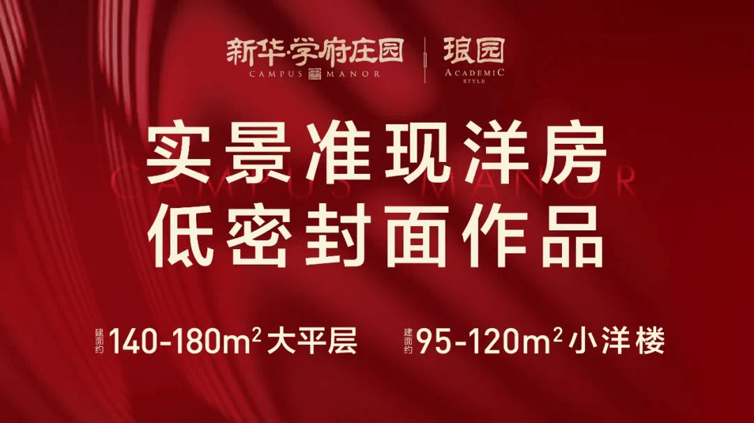辛章最新招聘，友情、梦想与家的温馨交汇点