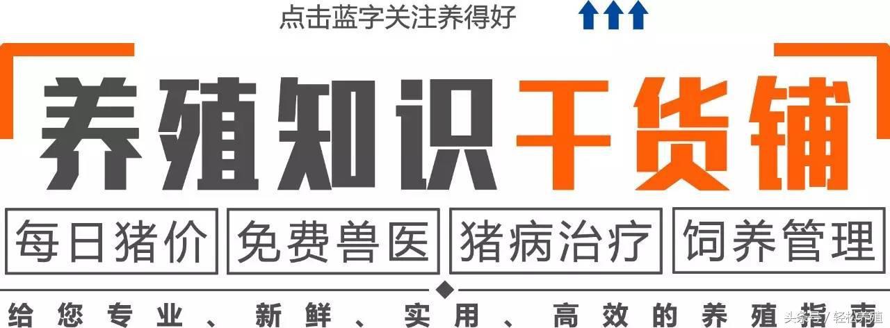 今日豆粕最新价格行情深度解析与趋势预测