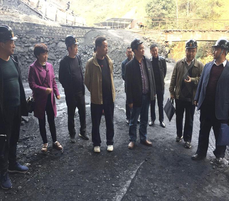 陕西煤炭价格最新动态，深度分析与观点阐述