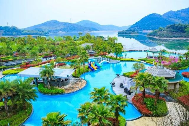 宁波九龙湖最新动态，自然探索之旅，寻觅内心平和与宁静的胜地