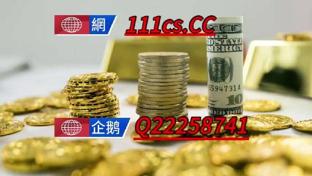 香港二四六王中王资料解析，精选定义及RSK441.32固定版推荐