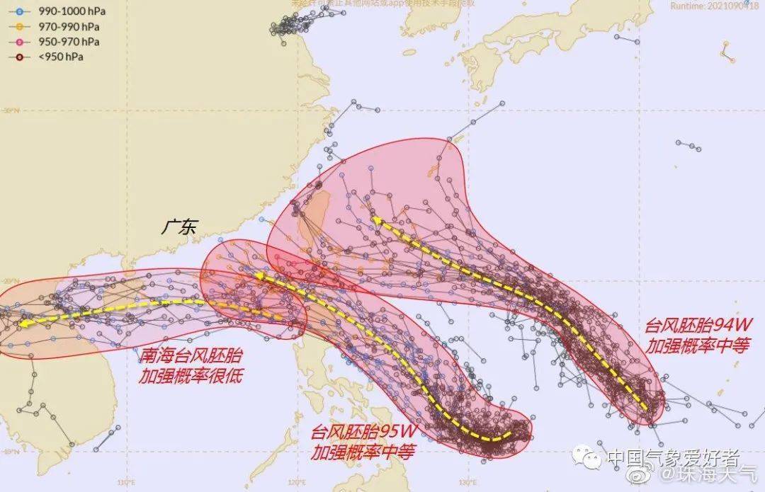 阳西台风实时更新，最新消息与动态