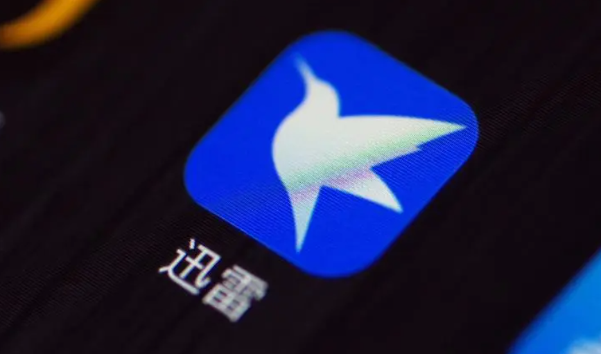 手机迅雷最新，速度与温情的交织故事