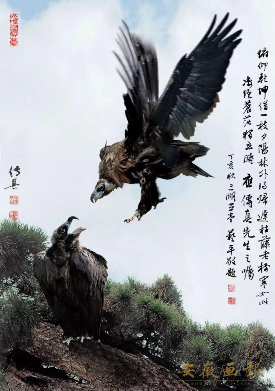 澳门传真正品版，优化实施方案解答_YBV2.29.61精简版