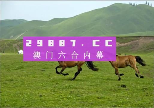 澳门精准龙门客栈图库创新解读方案详解——JQV1.47.24炼骨境