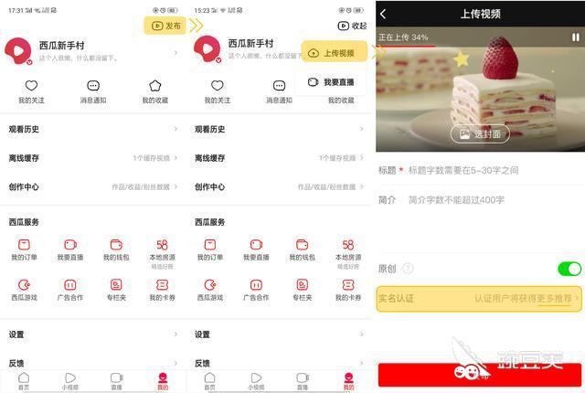 西瓜视频最新版下载指南，轻松获取最新版本的西瓜视频