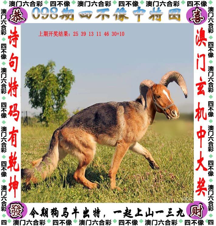 斩拌机厂家 第498页