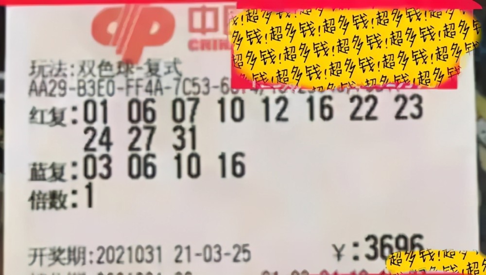 双色球最新开奖查询步骤指南及结果解读
