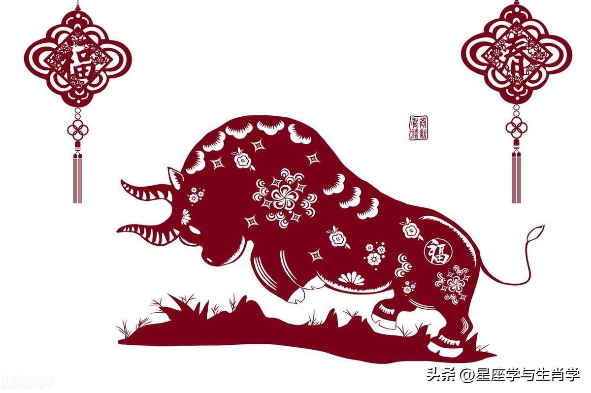 2024年每日好运资料解析，精准剖析答疑解惑_LJQ1.38.79科技版