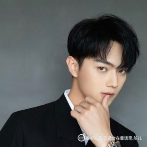 澳门正版免费资料查询方法及成本分析详解_CTP4.41.76动画教程