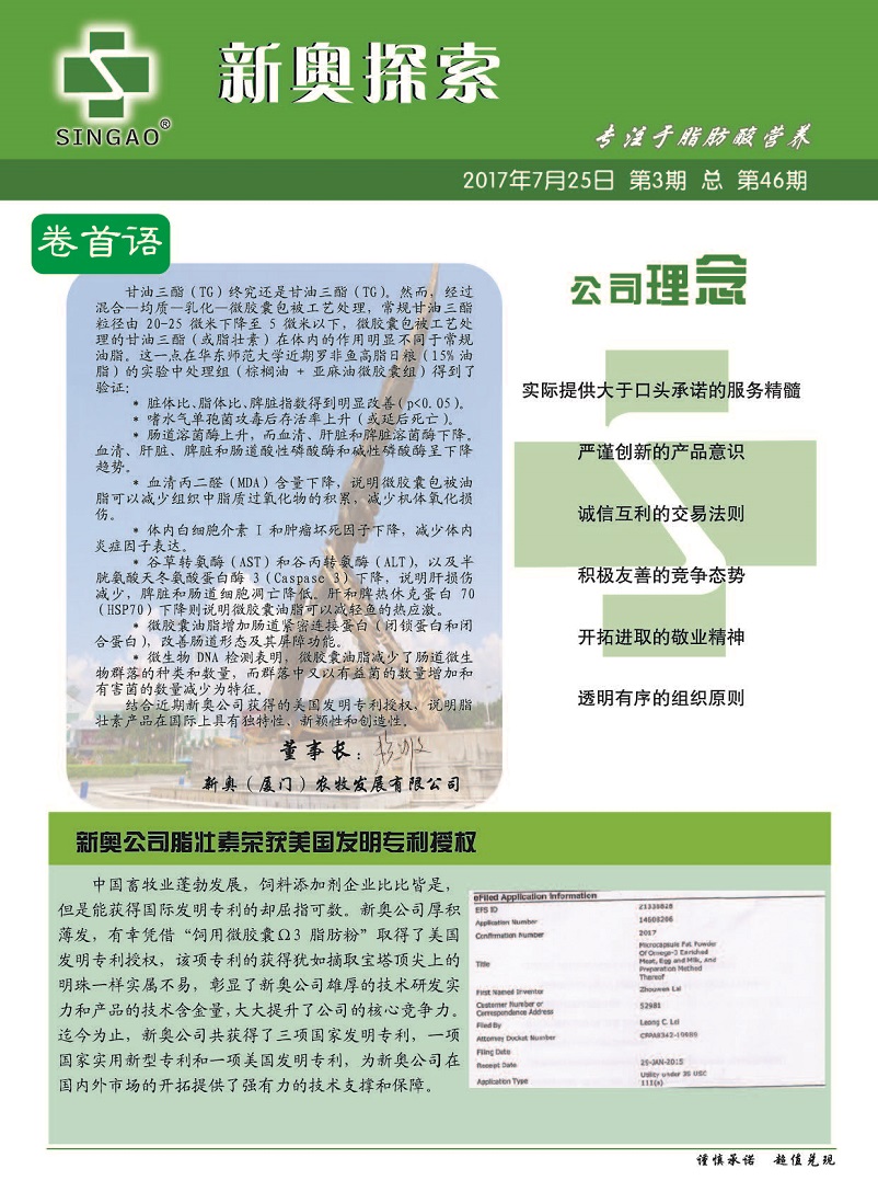 新奥免费资源宝库，AGV6.25.93智巧版快速执行方案