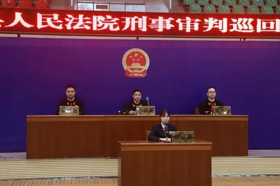 宾阳新闻最新动态，多元视角解读与洞察