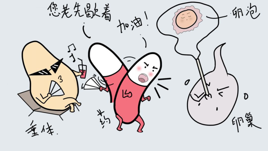 精子窝最新地址揭秘，一段温馨有趣的日常故事开启！
