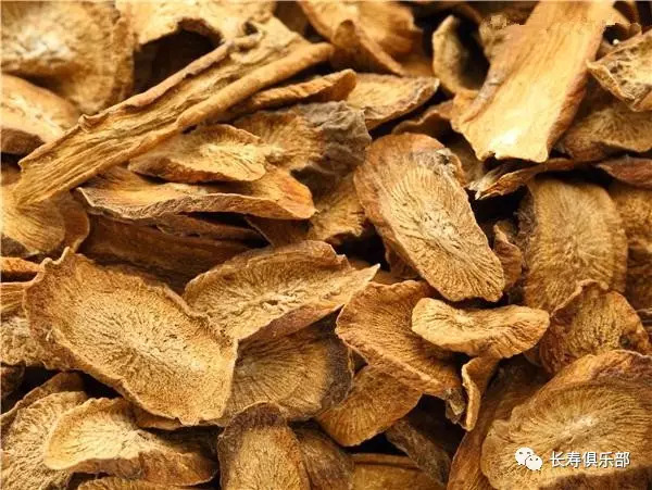 牛蒡子最新价格揭秘，小巷中的独特宝藏，价格走势一网打尽！
