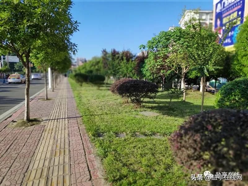 盐亭招聘网最新招聘，人才与机遇的交汇点探寻