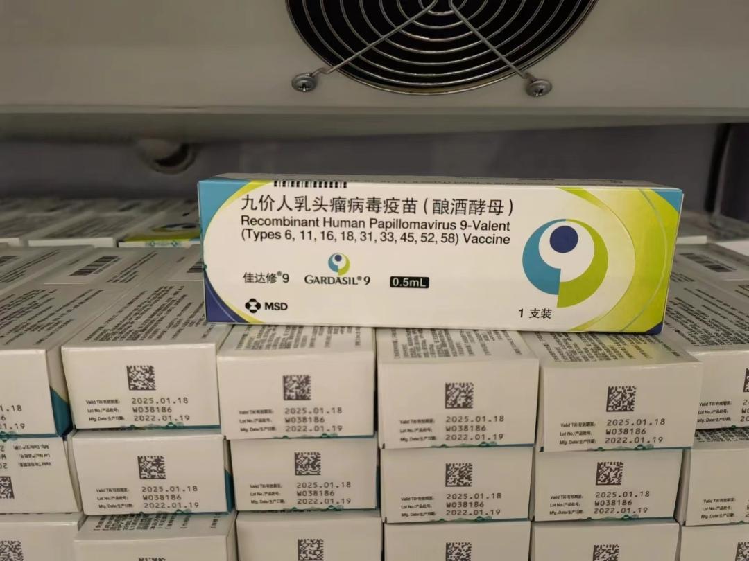 HPV治疗疫苗最新进展，家庭趣事中的健康守护者