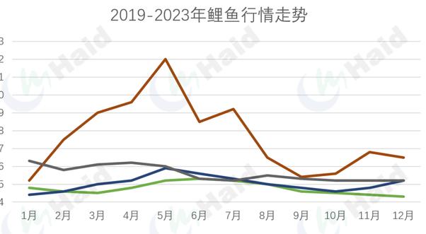 鲤鱼最新价格走势分析，市场趋势解读与购买指南