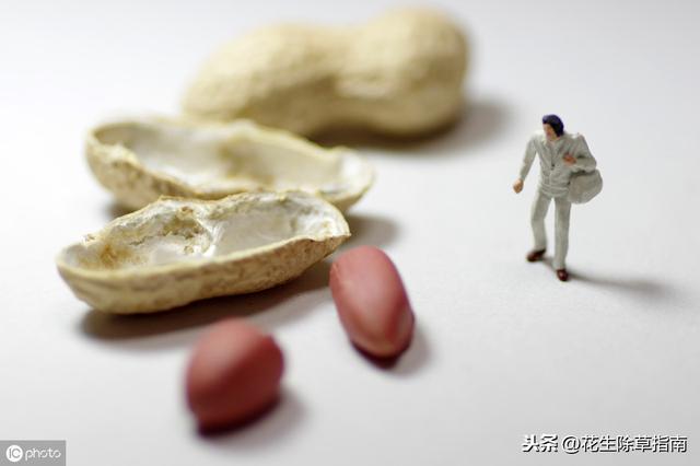 辽宁花生最新价格走势及分析