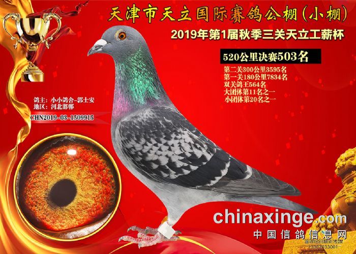 天宇公棚最新公告观点阐述与分析摘要