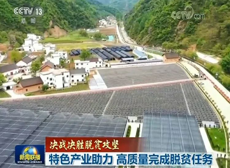 利川市最新招聘信息揭秘，小巷深处的特色小店新机遇！