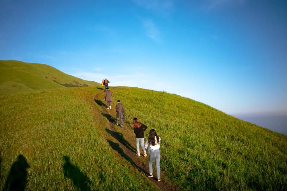 苹果手机最新动态揭秘，与自然美景共行，探寻内心平和之旅