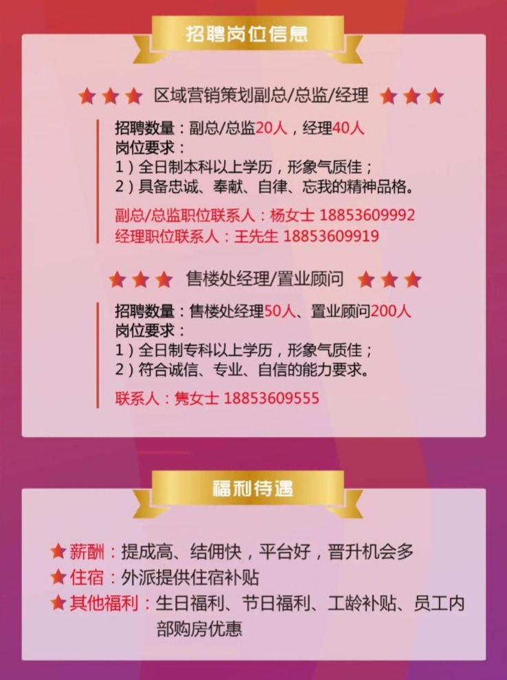 庆阳最新招聘，职场征途中的求职奇遇与友情之旅