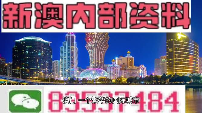 2024新澳正版资料最新更新,精细化实施分析_竞技版95.336