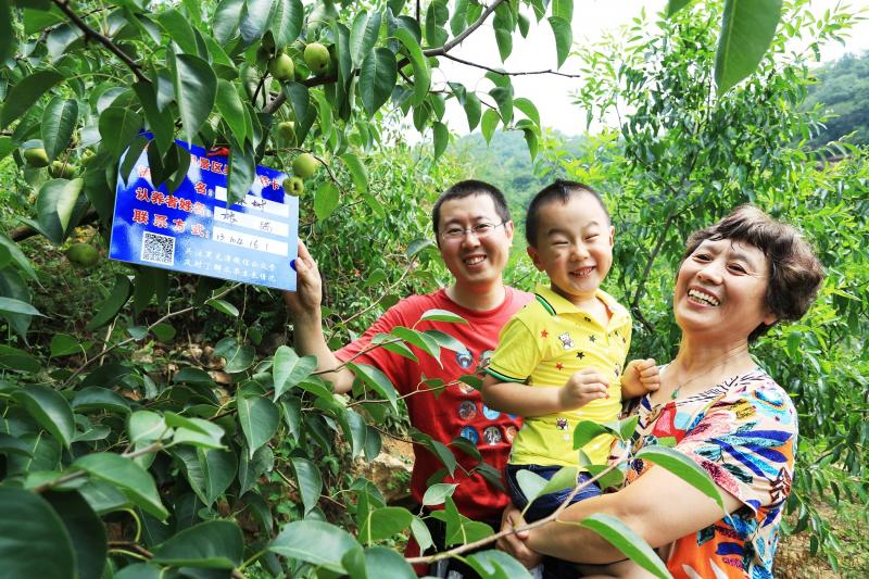 最新抗战题材电视剧，心灵与自然的奇妙抗战旅程
