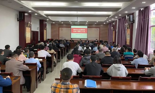 郴州市最新人事任免动态及解析