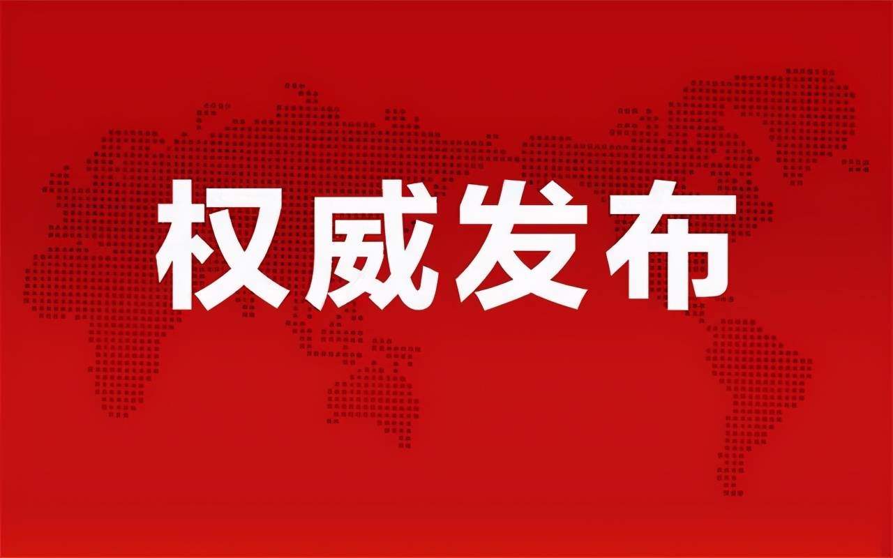 河北省最新动态，温馨日常故事