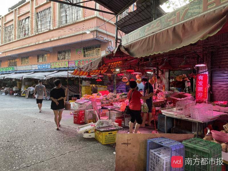 顺义最新疫情动态，防控进展及应对策略揭秘