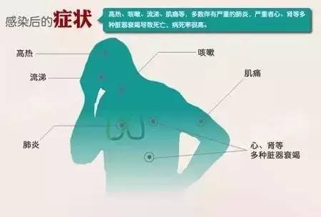 福建疫情最新动态及观点论述