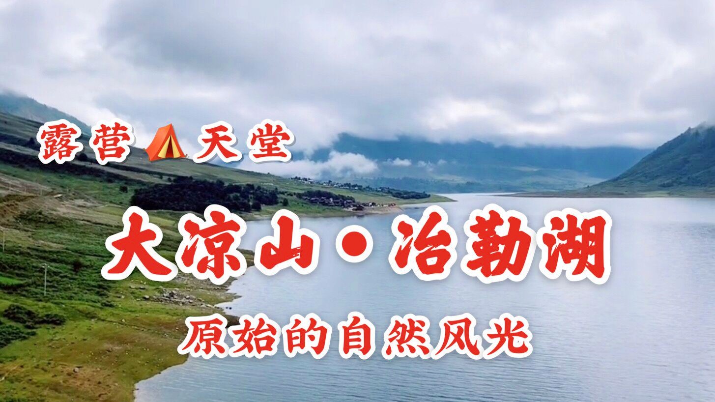 临泉最新招聘，探索自然美景之旅，寻找内心平静之旅