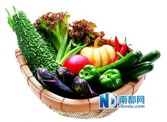 蔬菜价格最新行情，自然之旅，寻找内心宁静与平和的旅程